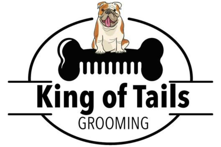 King of Tails Grooming